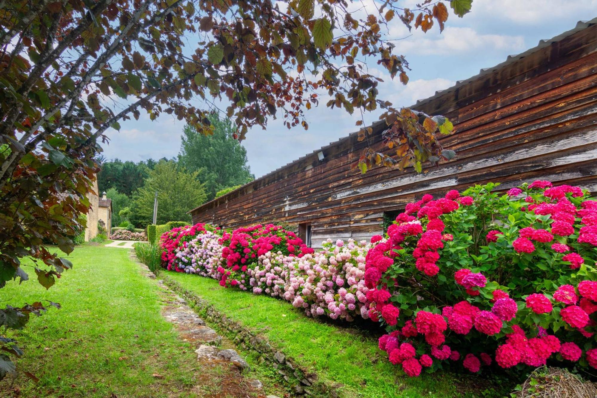 Le Clos Vallis Sarlat Exterior foto